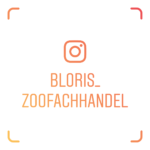 instagram_blori_berlin